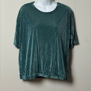 Dantelle Women’s Teal Short Sleeve Elastic Waist Velvet Ribbed Blouse Size L